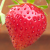 Strawberry Alinta